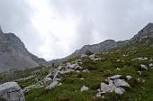 20 Dalla Val Cochetta sguardo verso il passo di Fontanamora 